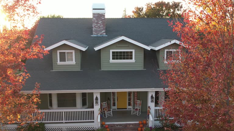Best Roof Moss and Algae Removal  in Wabasso, FL