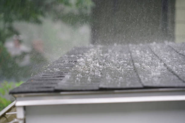 Best Skylight Installation and Repair  in Wabasso, FL